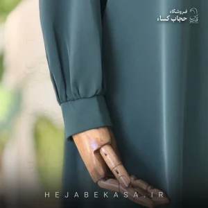 عبا مدل رعنا