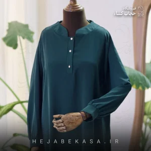 عبا مدل رعنا
